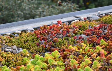 the cost of Shellow Bowells green roof installation