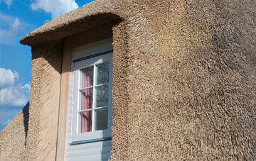 Shellow Bowells thatch roof disadvantages